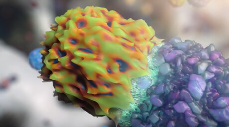 Multiple myeloma treatment reprograms patients' own immune cells
