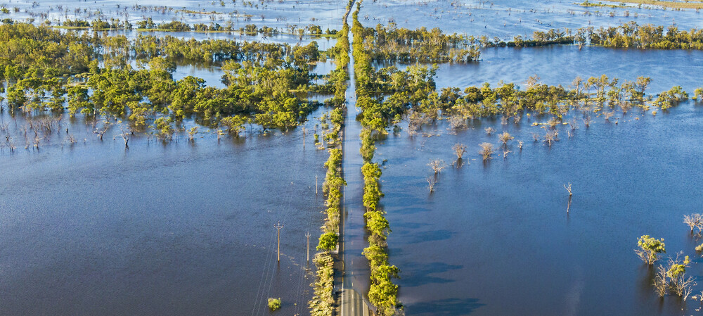 Weathering the storm: climate resilience in the food &amp; beverage sector
