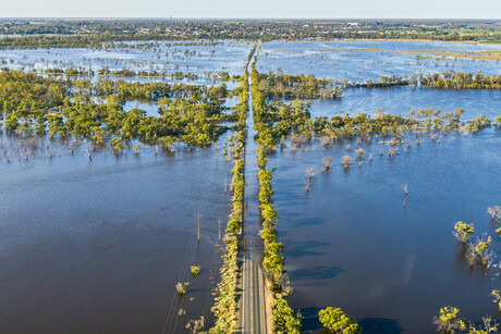 Weathering the storm: climate resilience in the food &amp; beverage sector