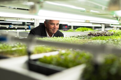 Sustainable food model for localised production in Brisbane