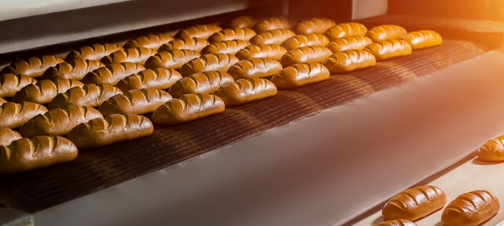 The importance of bearing specification in bakery environments