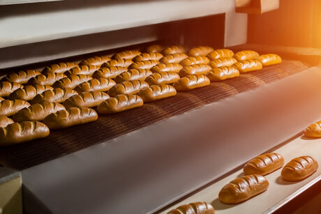 The importance of bearing specification in bakery environments
