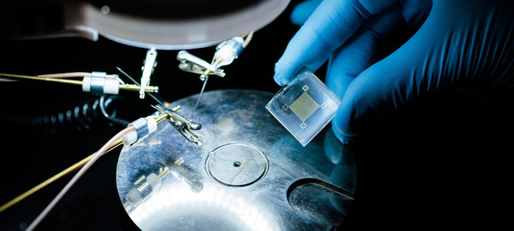 Stretchable AI device processes health data locally