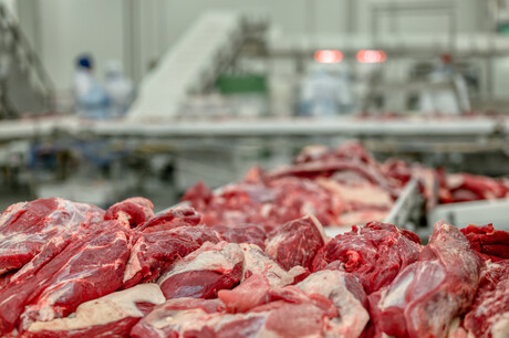 Testing beef trim sampling cloths for Escherichia&nbsp;coli O157:H7, STEC, and Salmonella species with harmonised enrichments