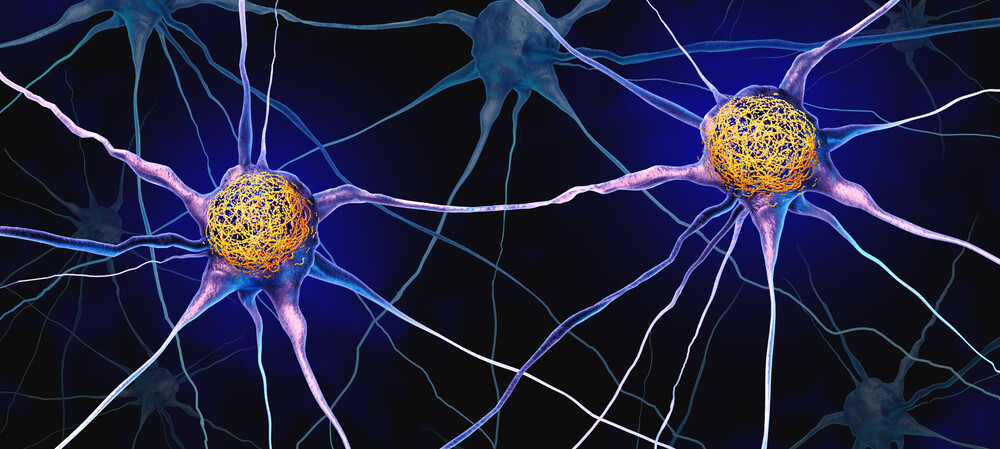 How an Alzheimer's-linked protein shapes long-term memories