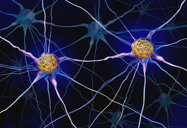 How an Alzheimer's-linked protein shapes long-term memories