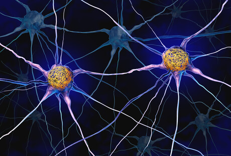 How an Alzheimer's-linked protein shapes long-term memories