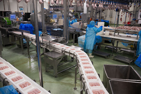 Poultry packaging partnership extends beyond the tray
