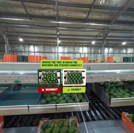 Avocado supply chain handling training program partners with Woollies