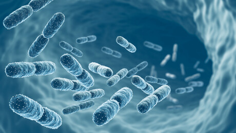 Biome Australia brings probiotic manufacturing to Australia