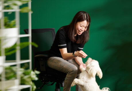 Pet food manufacturer rewires its legacy electrical cabinet