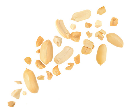 Food safety recalls in NZ: the 2025 report