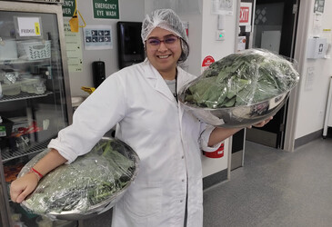 Ultrasound improves protein recovery from cauliflower waste