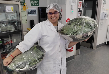Ultrasound improves protein recovery from cauliflower waste