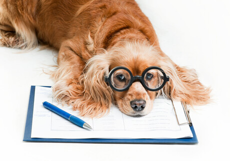 WA dog food manufacturer seals SE Asia export deal