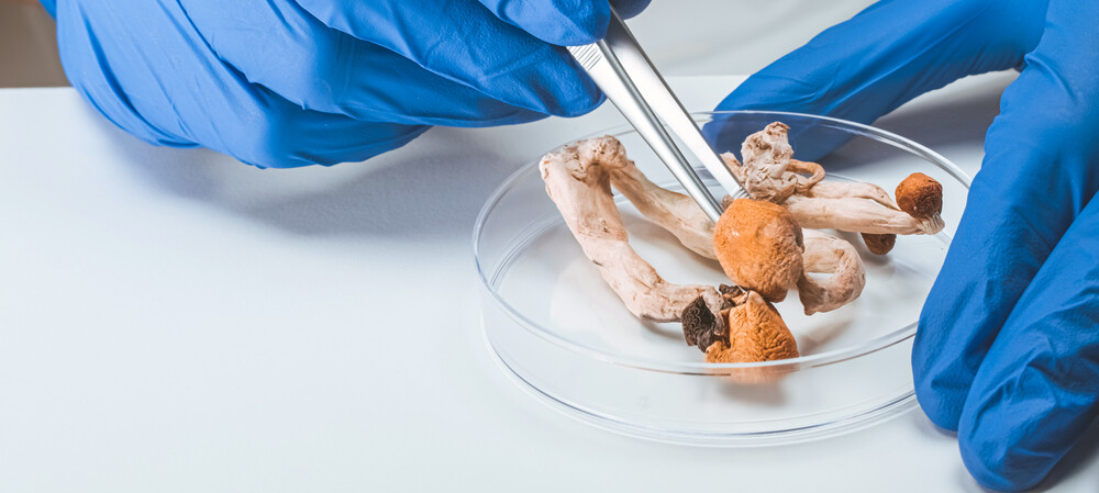 Could this psychedelic compound reduce post-concussion symptoms?