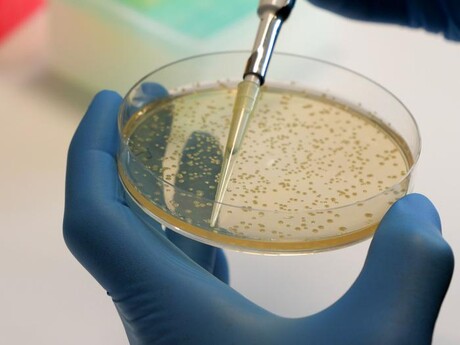 Breaking the biofilm shield that harbours foodborne pathogens