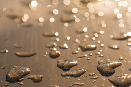 Biochar used for solar water purification