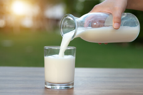 Startup moves beyond the lab with alt-dairy ingredient