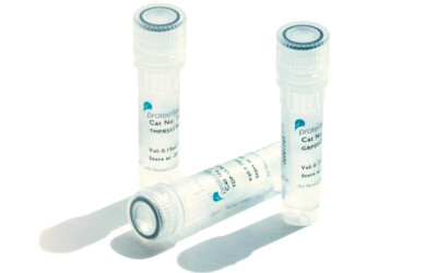 Proteintech Universal &amp; Target Specific CAR Detection Reagents