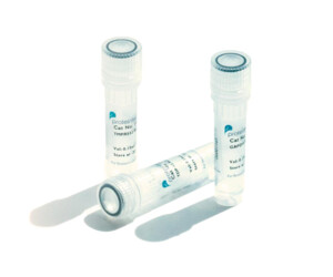 Proteintech Universal & Target Specific CAR Detection Reagents Proteintech Universal & Target Specific CAR Detection Reagents