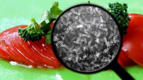 Labelling scheme proposed for ready-to-eat foods