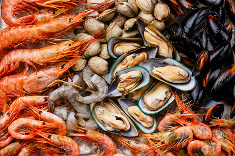 Seafood safety researcher awarded at NZIFST Food Industry Awards
