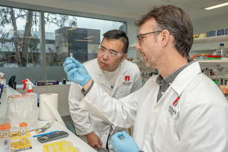Neuroproteomics facility offers researchers a new perspective on MND and neurodegeneration