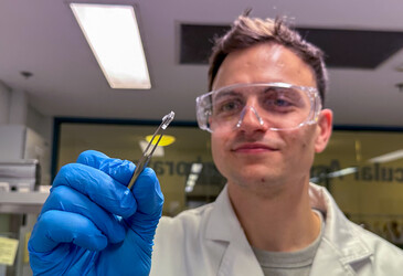 Protecting particles that carry mRNA in dry vaccine patches
