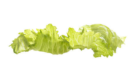 US outbreak of <em>Cyclospora</em> linked to shredded lettuce