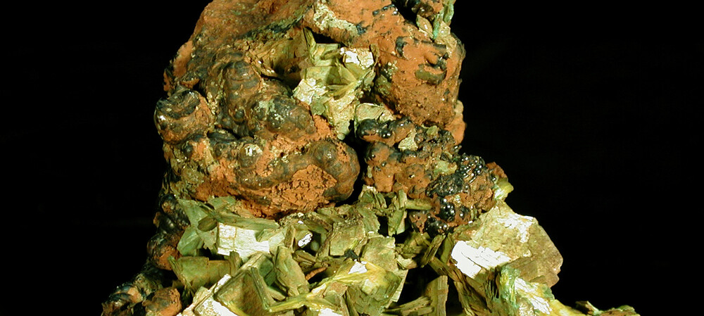 Microscopic life is mining decades-old toxic waste