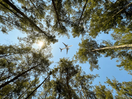 $32 million investment to create jet fuel from forest waste