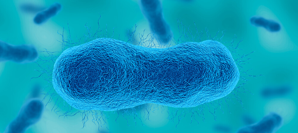 Antimicrobial resistance in children rises globally &mdash; 100K+ samples reveal