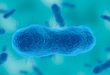 Antimicrobial resistance in children rises globally &mdash; 100K+ samples reveal
