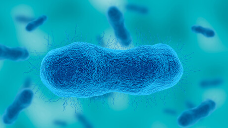 Antimicrobial resistance in children rises globally &mdash; 100K+ samples reveal