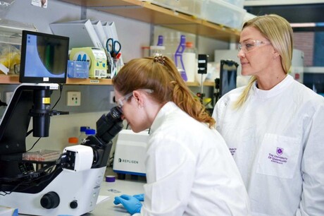 A neuroscientist and biochemist's antiviral lightbulb moment
