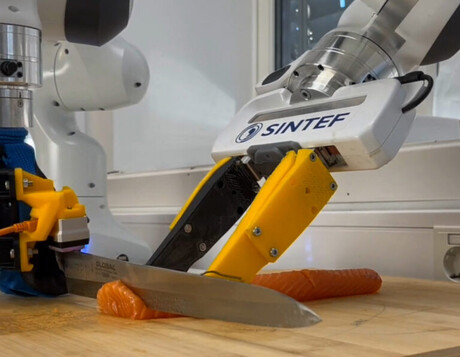 Thin slices and dices of salmon are no problem for the Sashimi-Bot