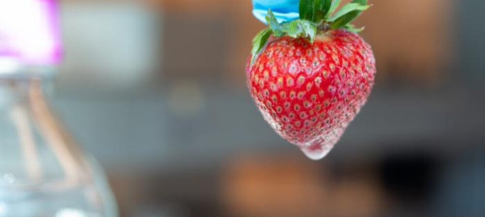 Edible coating to keep strawberries fresh without refrigeration