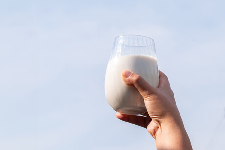 What nutrients are in your milk?