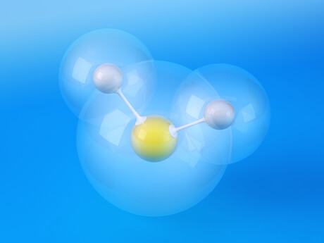 Director of scientific R&amp;D firm fined $195K+ over biogas experiments