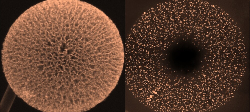 Fuel cell catalyst targets data centre energy needs