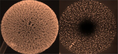 Fuel cell catalyst targets data centre energy needs