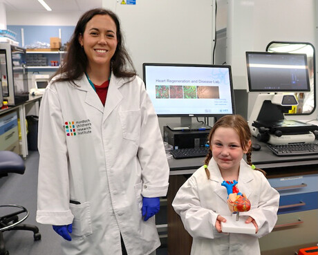 Heart valve tissues created from stem cells