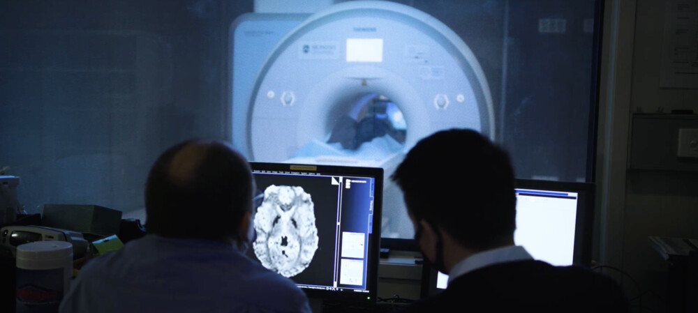 5-year study uncovers "hidden order" in brains under psilocybin