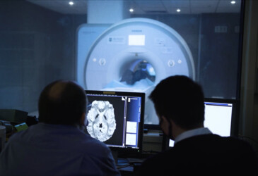 5-year study uncovers "hidden order" in brains under psilocybin