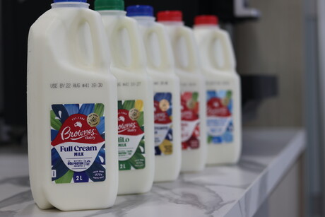 WA-based Brownes Dairy is back on the market