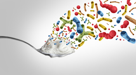 Charting a path forward for a microbial food industry