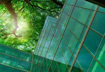 Nature is the blueprint for better cities