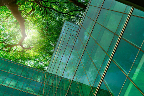Nature is the blueprint for better cities