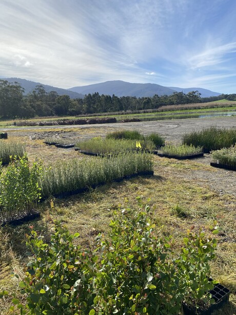 Environmental site restoration to transform sewage treatment plant